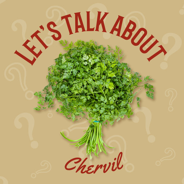 Chervil