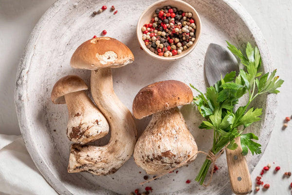 Fresh porcini mushrooms, parsley, and peppercorns on a ceramic plate, ideal for artisanal cooking